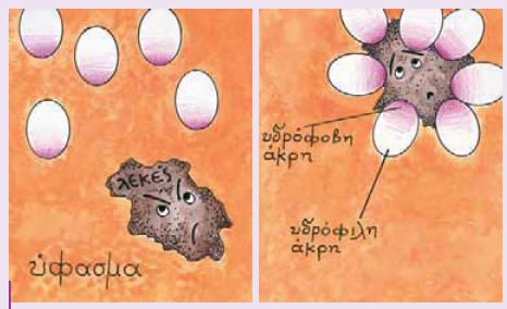To απορρυπαντικό επιτίθεται στο λεκέ.