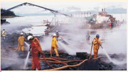 Eκατομμύρια τfiνοι απορρυπαντικού για πιάτα χρηισμοποιήθηκαν για να καθαρίσουν