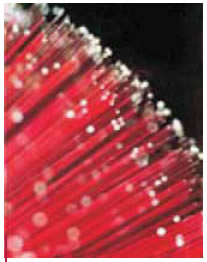 Oπτικές ίνες