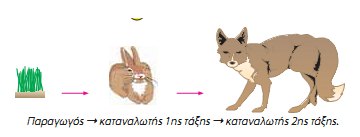 Εικ. 2.12. Παράδειγμα τροφικών σχέσεων μεταξύ των οργανισμών.