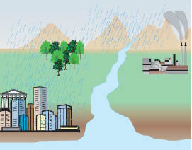 Εικ. 2.22 Με τη βοήθεια των ανέμων, οι αέριοι ρύποι, και φυσικά αυτοί που προκαλούν την όξινη βροχή, μεταφέρονται σε άλλες περιοχές, μακριά από τον τόπο παραγωγής τους. Αυτό έχει ως αποτέλεσμα η όξινη βροχή να καταστρέφει δάση ακόμη και χωρών που δεν διαθέτουν βιομηχανία ή άλλες πηγές ρύπανσης.