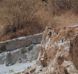 Εικ. 7.7 Οι πληροφορίες που συγκεντρώνουμε από τα απολιθώματα μπορούν να χρησιμοποιηθούν για να αναπαραστήσουν γεγονότα που έγιναν εκατομμύρια χρόνια πριν. Μας δίνουν τη δυνατότητα να διατυπώσουμε υποθέσεις για τη συμπεριφορά ζώων που έχουν εξαφανιστεί ή να βγάλουμε συμπεράσματα για το κλίμα. Βέβαια, μέσα σε εκατομμύρια χρόνια τα απολιθώματα καταστρέφονται πολύ εύκολα, αλλά καθετί που βρίσκουμε μπορεί να συνεισφέρει στη δημιουργία μιας ολοκληρωμένης εικόνας. Στην εικόνα παρατηρούμε κορμό απολιθωμένου δέντρου που βρέθηκε στο Απολιθωμένο Δάσος της Μυτιλήνης.