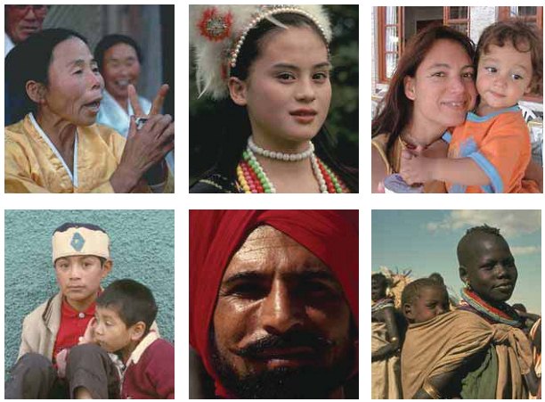 Εικ. 7.11 Σήμερα, όλοι οι άνθρωποι ανήκουν στο ίδιο είδος, τον Homo sapiens.