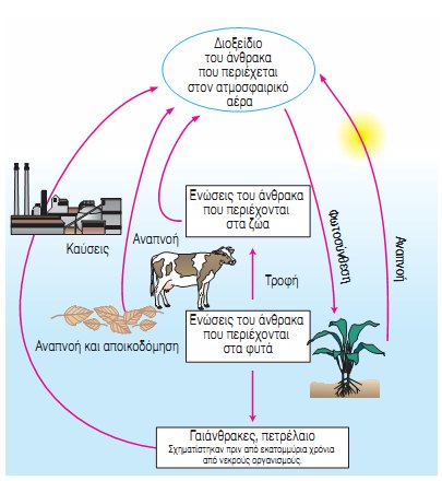 Εικ. 2.17 Ο κύκλος του άνθρακα.