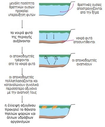 Εικ. 2.23 Το φαινόμενο του ευτροφισμού και οι συνέπειές του.