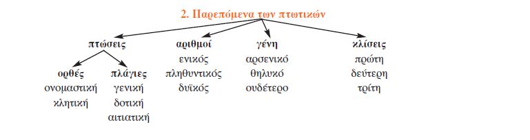2. Παρεπόμενα των πτωτικών