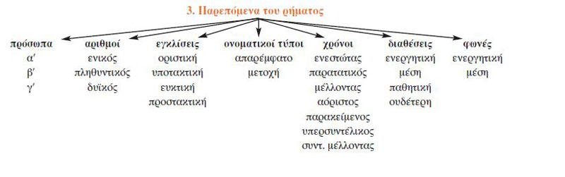 3. Παρεπόμενα του ρήματος