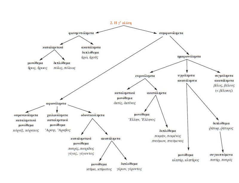 2. Η γ΄κλίση