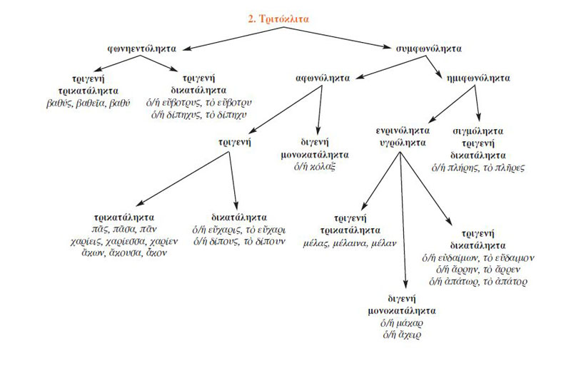 2. Τριτόκλιτα