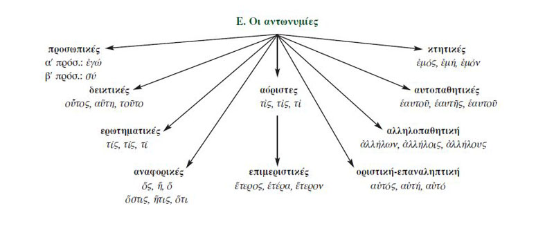 Ε. Οι αντωνυμίες