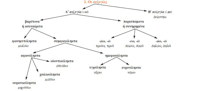 1. Οι συζυγίες