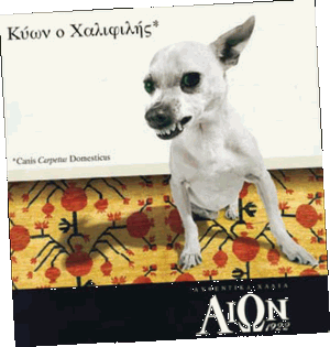 Διαφημιστική καταχώριση  στον Tύπο, 2004