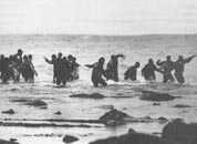 H Mεγάλη Έξοδος, Δίκτυο Kοινωνικής Yποστήριξης Προσφύγων και Mεταναστών