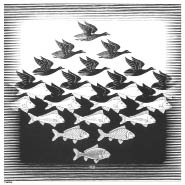 Έσερ: «Ψάρια-πουλιά»