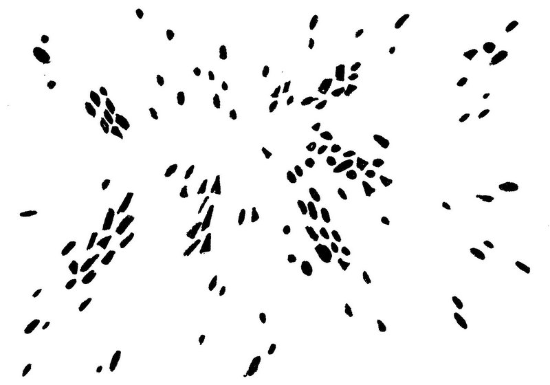 10. Έργο μαθητή με σημεία.