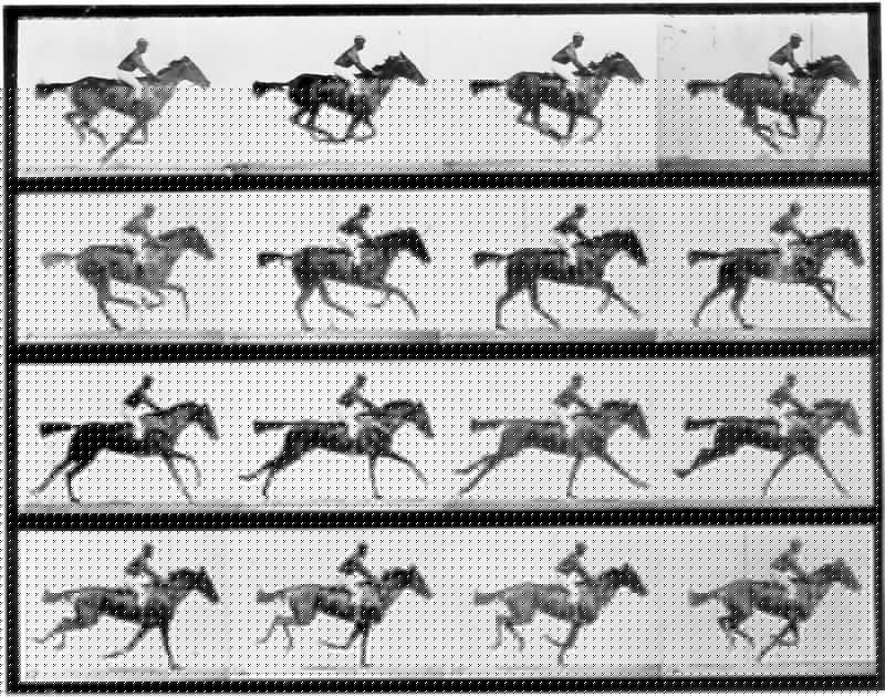 1. Μάιμπριτζ, «Άλογο που καλπάζει εν κινήσει», 1872, σειρά φωτογραφιών.