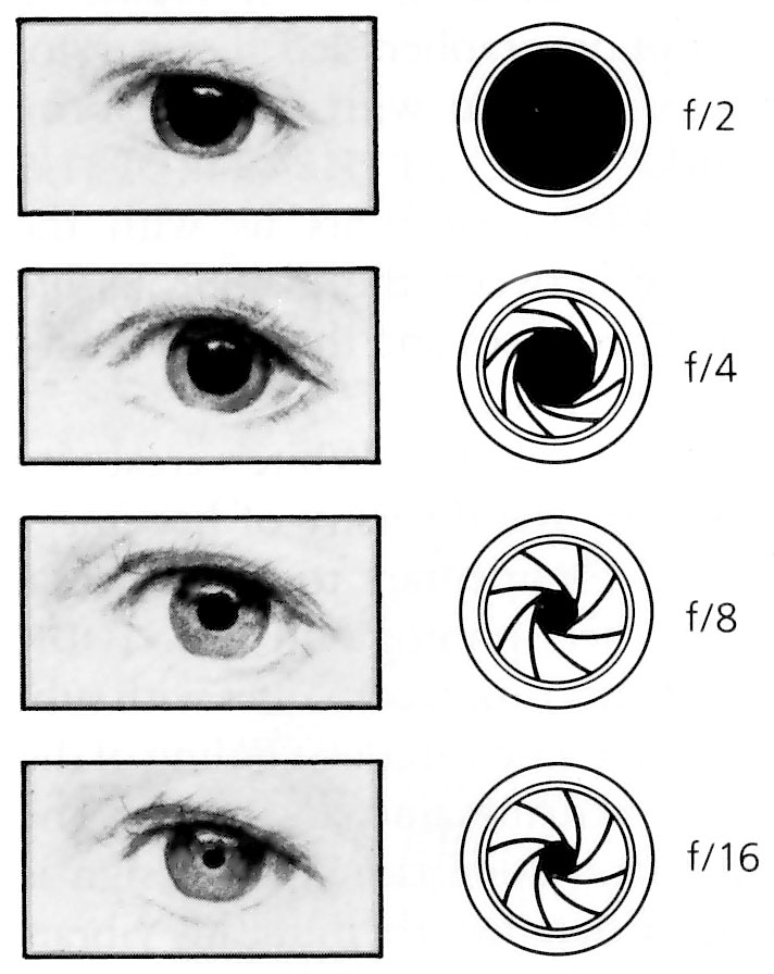 2. Η κόρη του ματιού μας και το διάφραγμα.