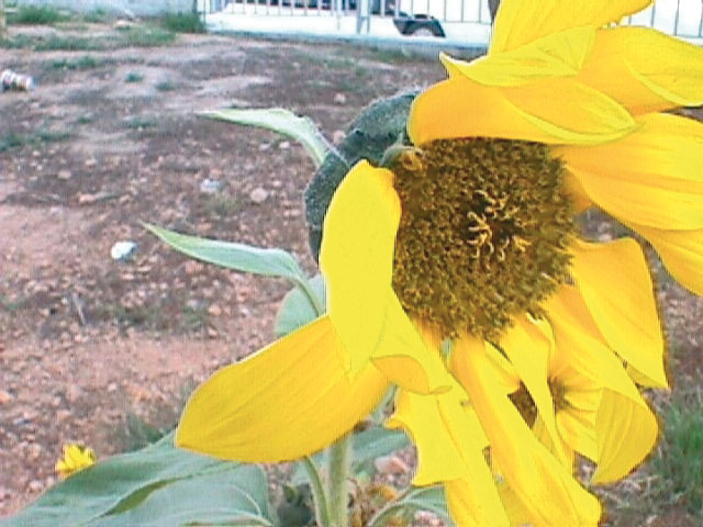 8.α.β. ψηφιακή εικόνα, τα πίξελ.