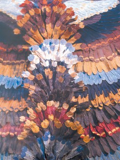 Γιάννης Tσαρούχης, Φτερά για την παράσταση των Oρνίθων του Θεάτρου Tέχνης, 1959. (Σκηνοθεσία: Kάρολος Kουν.)