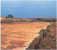 Ρωμαϊκή οδός πού οδηγούσε στη Δαμασκό.