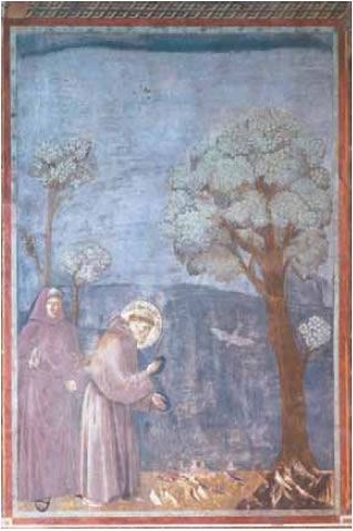 Νωπογραφία του Τζιότο. Ασίζη, Ιταλία. Ο άγιος Φραγκίσκος κηρύττει στα πουλιά. Η μέριμνά του για τη φύση και τα ζώα ήταν εντυπωσιακή.