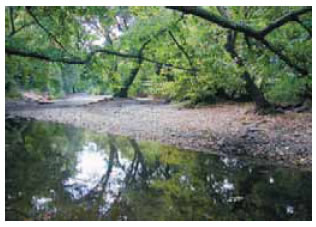 Όταν η επιφάνεια του νερού είναι τελείως λεία, τότε η εικόνα του αντικειμένου είναι καθαρή. Όταν η επιφάνεια είναι ταραγμένη, η εικόνα γίνεται θολή.