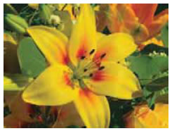 Ο κόσμος που μας περιβάλλει είναι έγχρωμος.