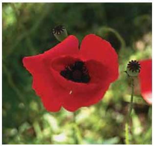 Χρώμα αδιαφανούς σώματος