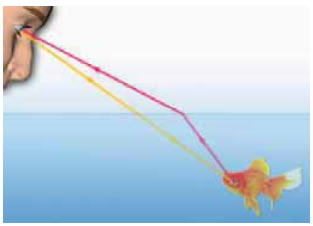 Διάκριση ηλεκτρικής-μαγνητικής δύναμηςΠλησιάζουμε διαδοχικά ένα μαγνήτη σε σιδερένιους συνδετήρες και σε ηλεκτρικό εκκρεμές. Ο μαγνήτης έλκει μόνο τους συνδετήρες.	