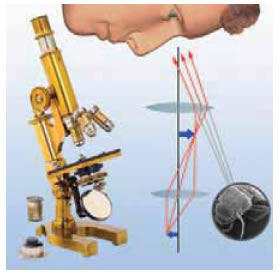 Τα μέρη και η λειτουργία ενός μικροσκοπίου.