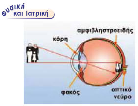 Τα μέρη του ματιού.
