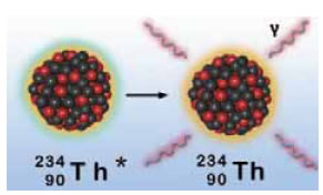 Ο διεγερμένος πυρήνας εκπέμπει ενέργεια με μορφή ηλεκτρομαγνητικής ακτινοβολίας (φωτόνια πολύ μεγάλης ενέργειας).