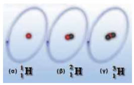 Τα τρία ισότοπα του υδρογόνου: (α) πρώτιο 11Η, (β) δευτέριο 21Η (γ) τρίτιο 31Η. 